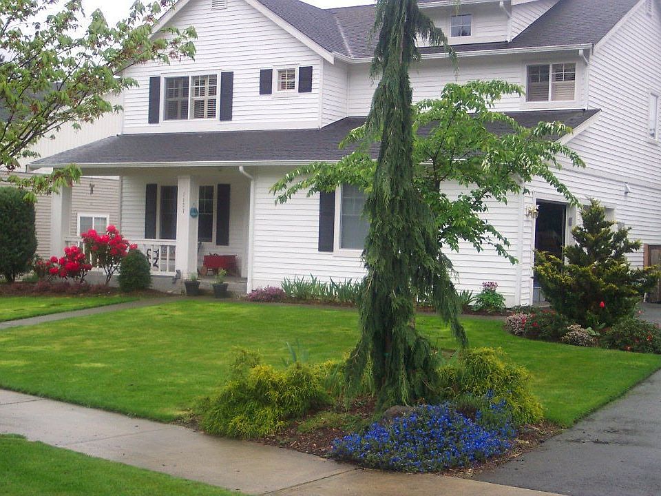 Home in Spring