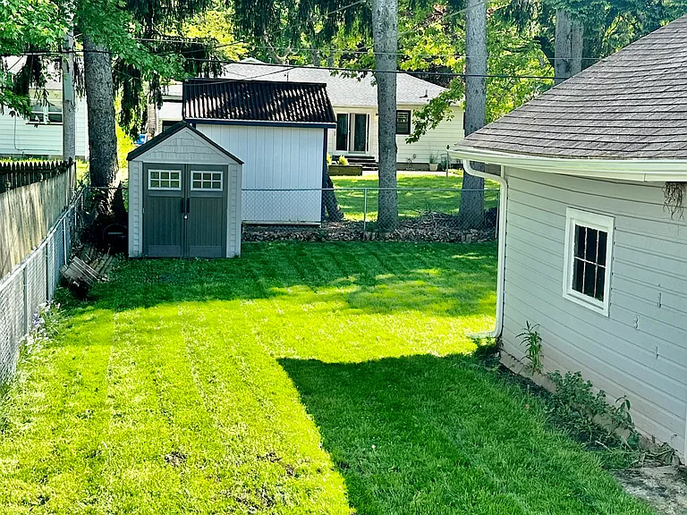 Back yard