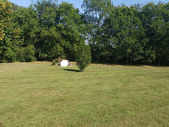 Back yard. Not fenced in.