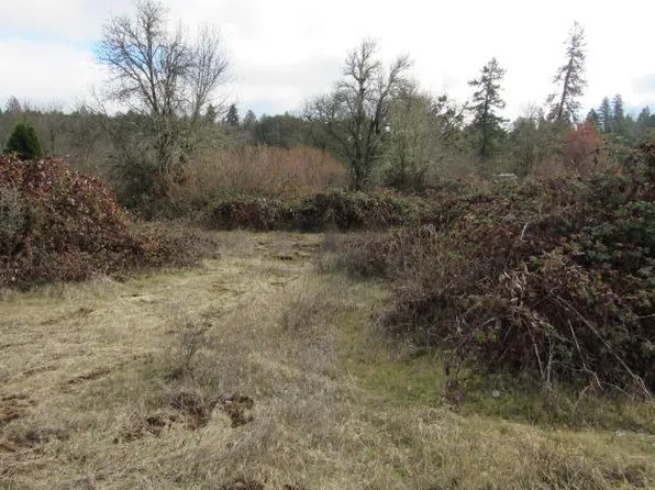 Green Acres Dr, Merlin, OR 97532