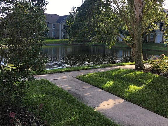 Lake with active wildlife just outside your door!