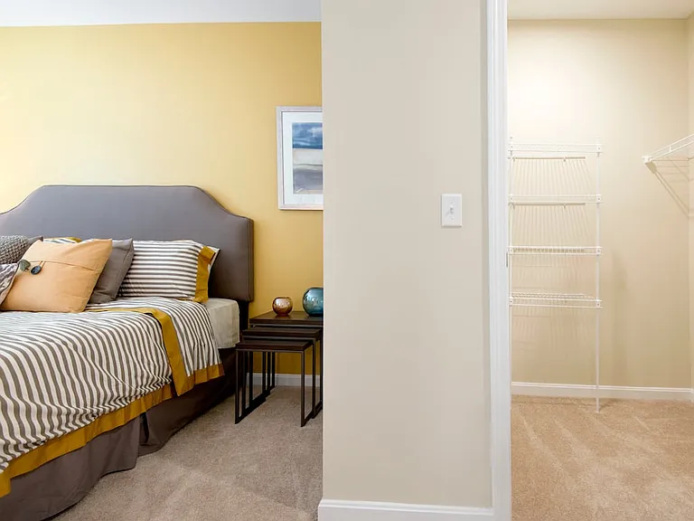 Bedroom with walk-in closet