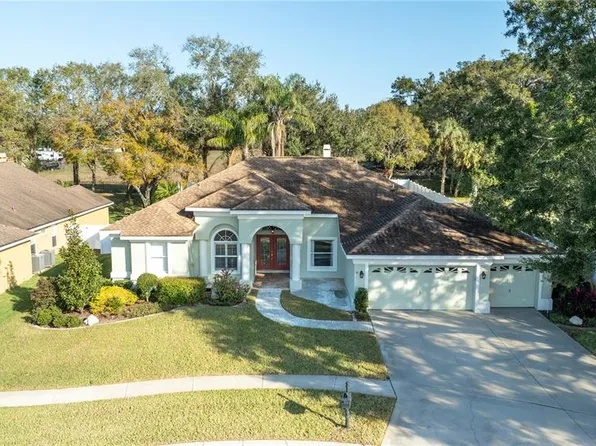 2801 Norwood Hills Ln, Valrico, FL 33596