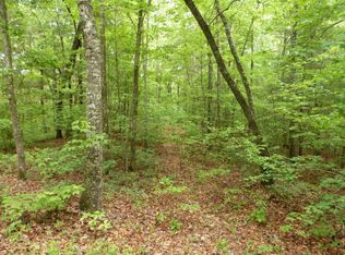 0 Old Ridge Rd, Mineral Bluff, GA 30559