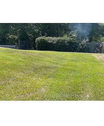 5th image of 388 Scenic Cir