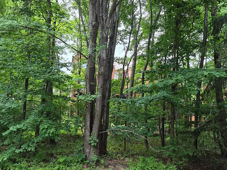 1303 Park Garden Ln — Photo 17