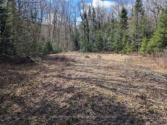 3rd image of 1397 Echo Ridge Rd