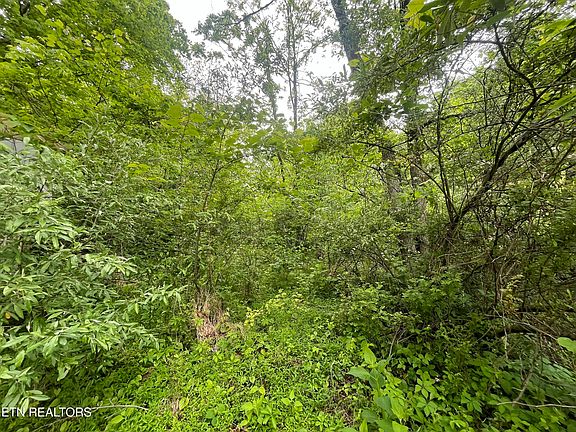 5th image of Valley Creek Rd