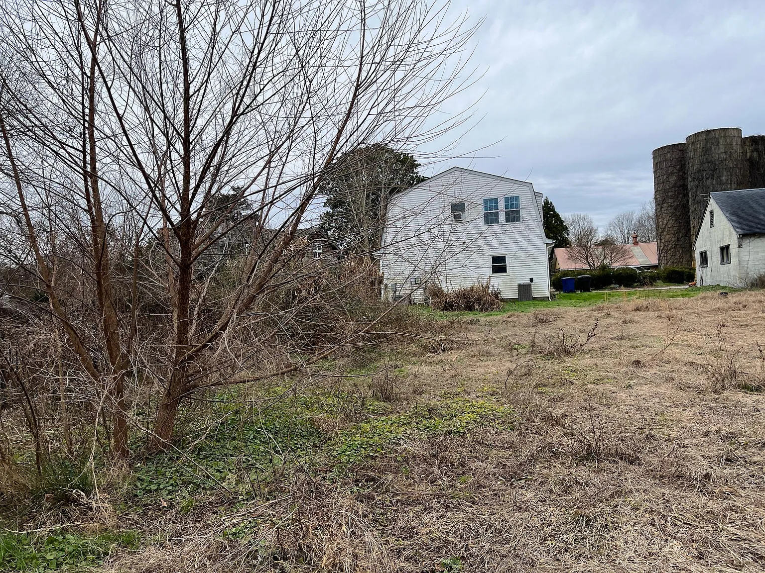 5588 Moores Pond Rd — Photo 4