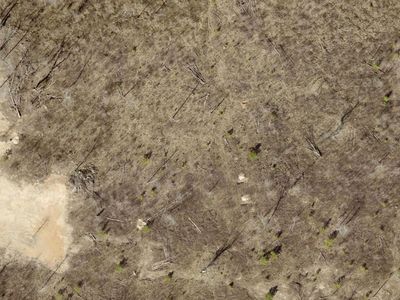 TRACT 8B Rigsby Loop, Lonsdale, AR, 72087