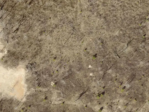 TRACT 8B Rigsby Loop, Lonsdale, AR 72087