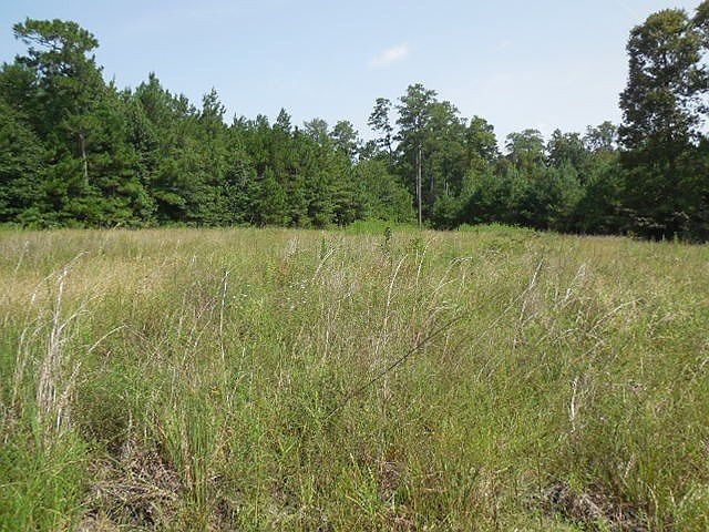 1st image of 375 Artesia Spgs