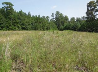 375 Artesia Spgs, Hemphill, TX 75948