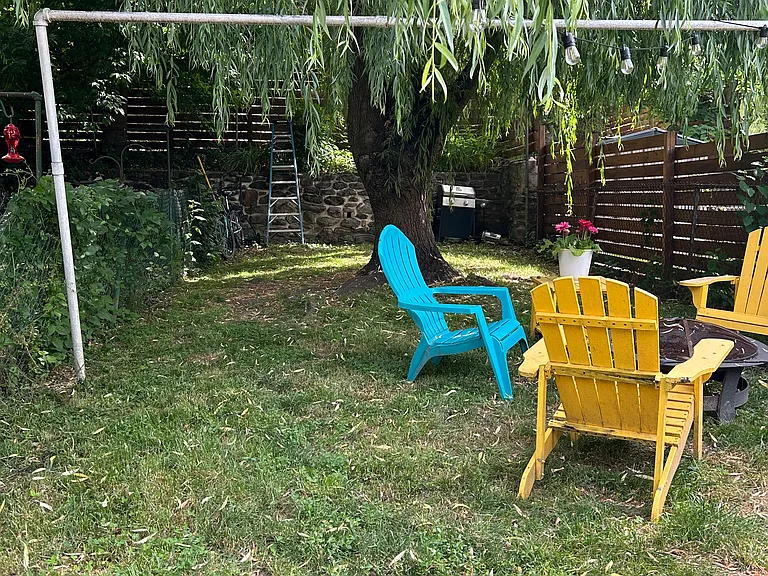 backyard from house looking out