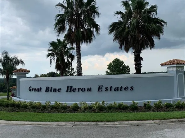 18307 Great Blue Heron Dr, Groveland, FL 34736