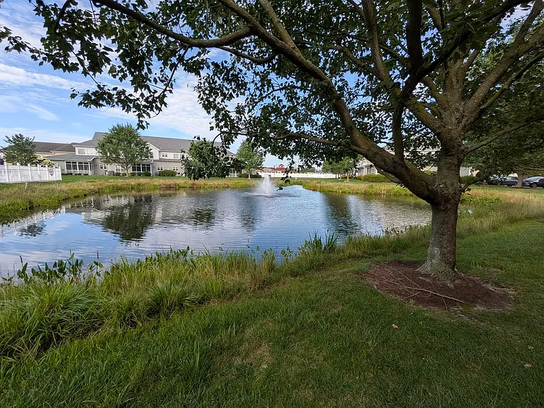 34673 Villa Cir #305-36 — Photo 5