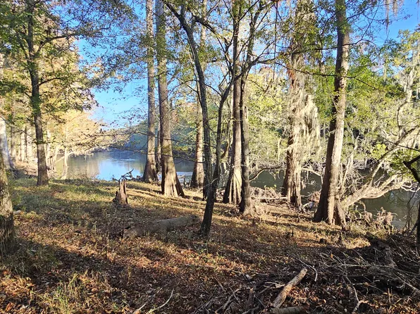 357 Bobcat Ct, Walterboro, SC 29488