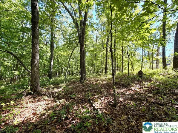 603 Sycamore Cir, Albrightsville, PA 18210
