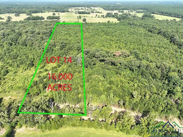 Mistletoe Rd Lot 14, Gilmer, TX 75644