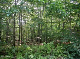 4 Ellison Rd, Tyler Hill, PA 18469