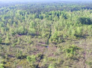 701 Old Ccc Rd, Brunswick, GA 31523