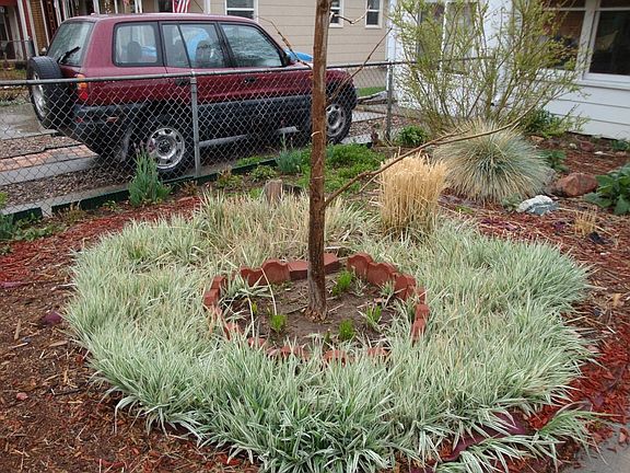 driveway and xeriscape