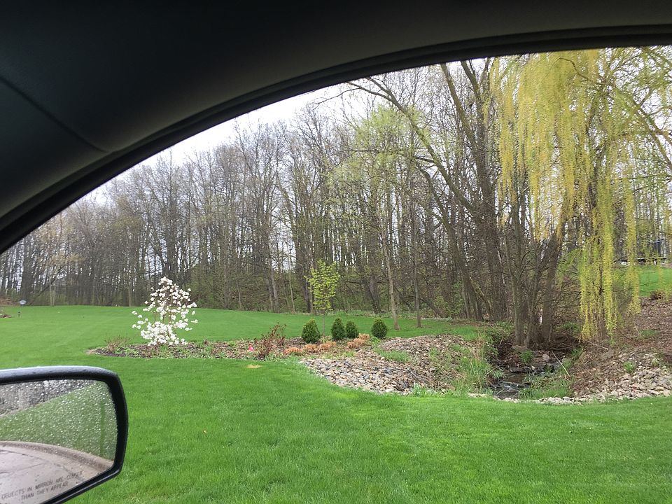 Back side of lot