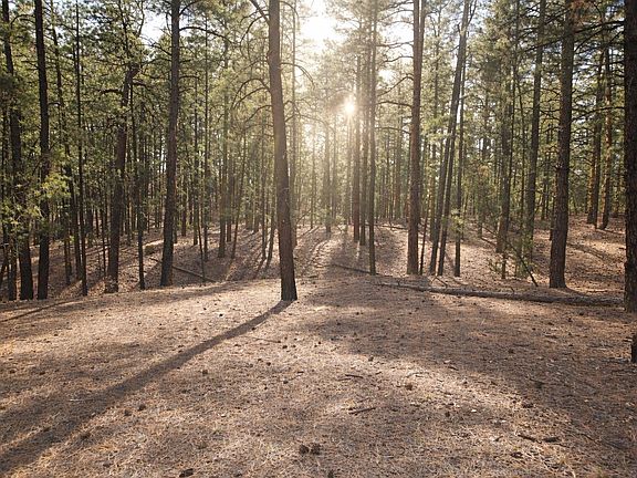 3rd image of LOT-49A Cool Pnes