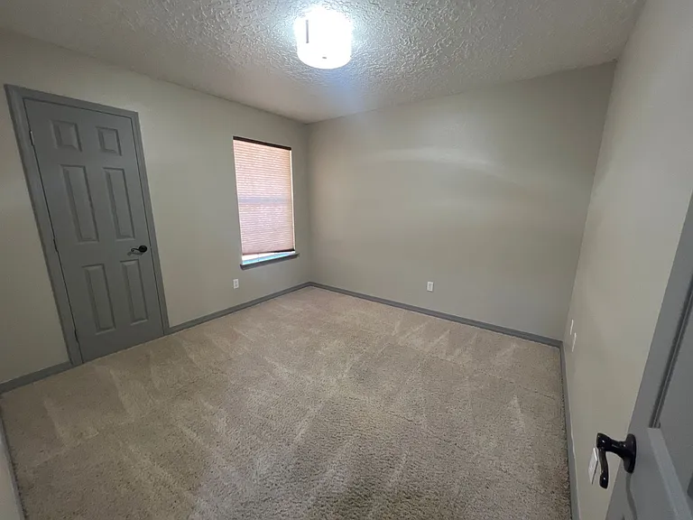 3709 Benjamin Davis Dr — Photo 18