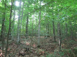 1234 Brudy Rd, Indian River, MI 49749