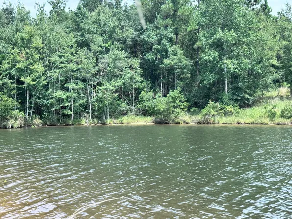 190 Ella Point Lot 12, Lumberton, MS 39455