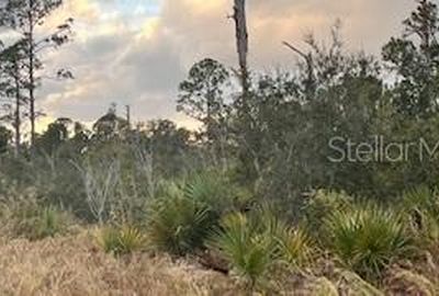 215 Vireo Ave #22, Sebring, FL, 33870