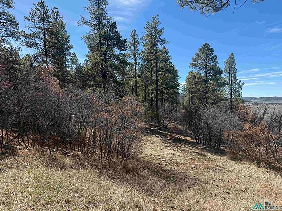 3rd image of 101 Oak Meadow Dr