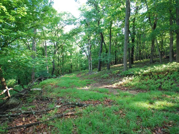 23 Long Lick Run Rd, Baker, WV 26801