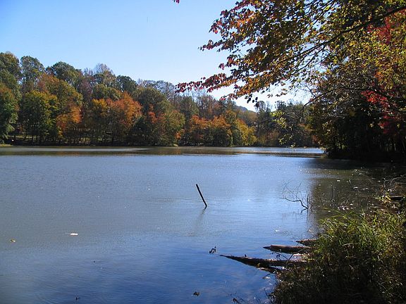 This is the view of the private lake from the properties edge. WOW!
