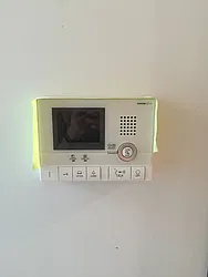 Rented by P Management