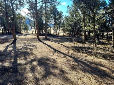 (Undisclosed Address), Cotopaxi, CO, 81223
