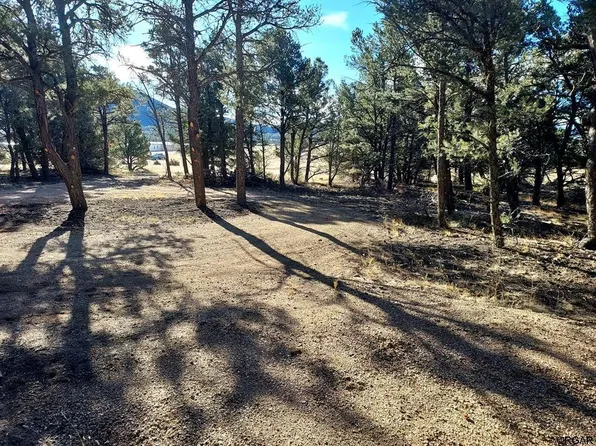 (undisclosed Address), Cotopaxi, CO 81223