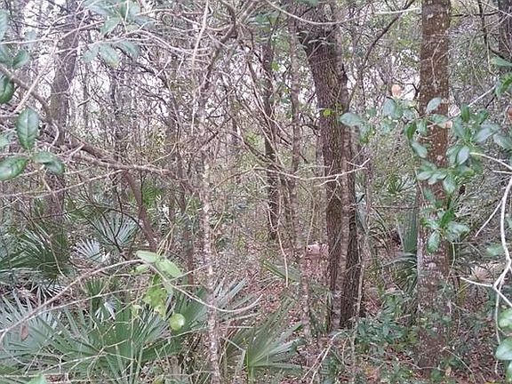 4th image of 1921 E Lake Dr