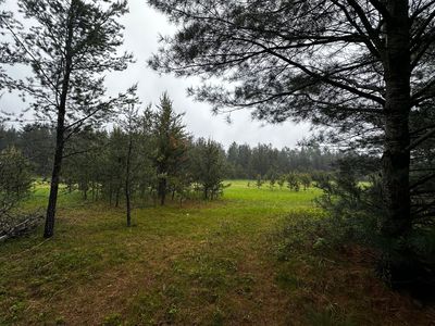 0 E Ten Mile Rd, Irons, MI, 49644