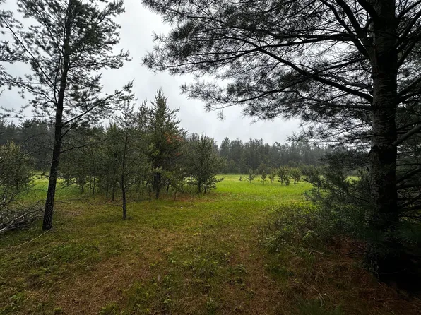 0 E Ten Mile Rd, Irons, MI 49644