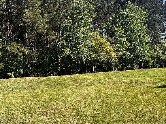 2nd image of 111 Queens Ln