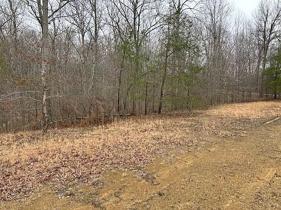 5th image of 665 Lambert Schoolhouse Rd