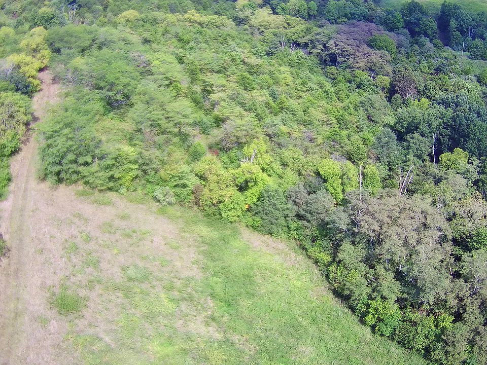 2nd image of TRACT 1 Delaney Rd