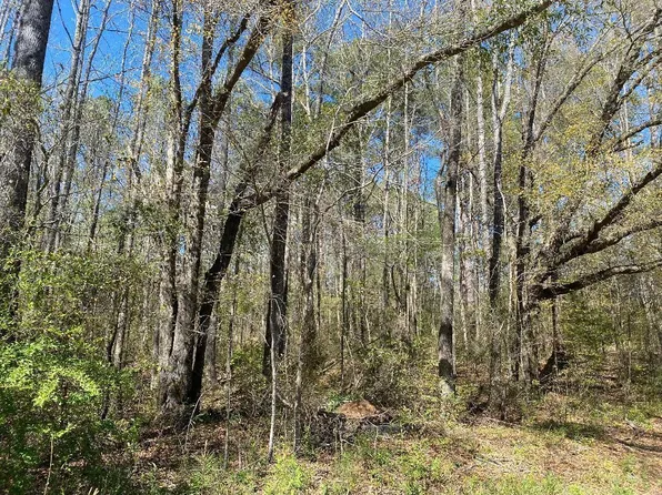 Cedrum Rd, Carbon Hill, AL 35549