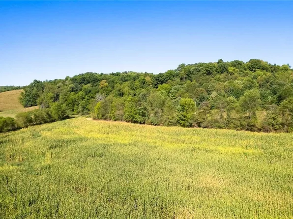 14716 County Road 436, Dresden, OH 43821