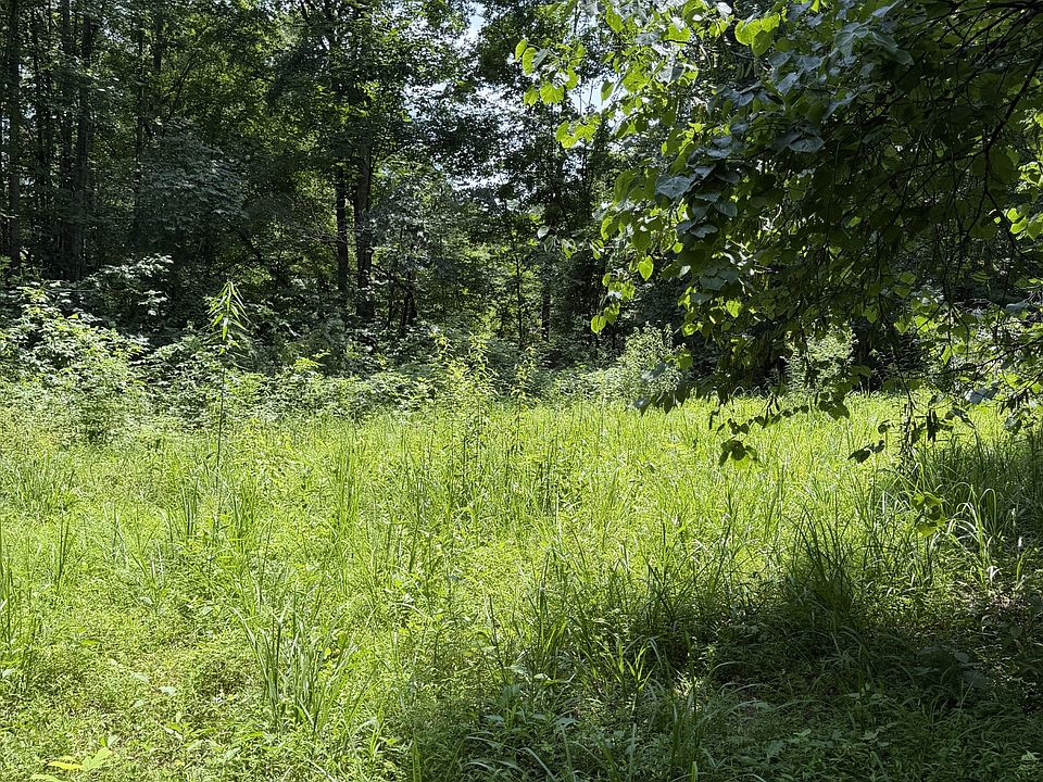 2nd image of 0 Wilderness Ln