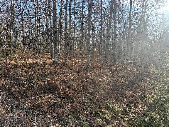 4th image of 0 Arnold Thomas Rd