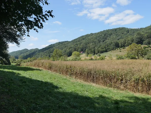 Shoals Ln Lot Wp001, Hiltons, VA 24258