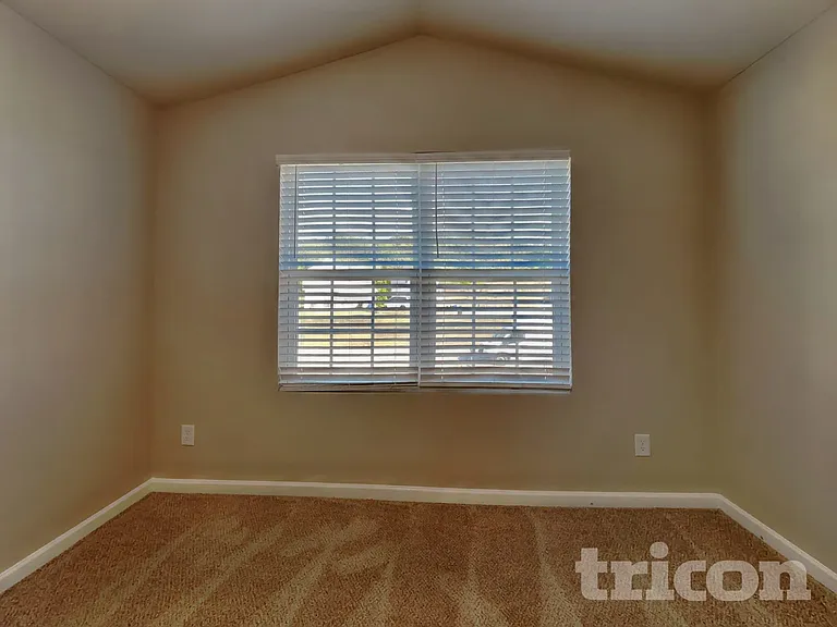 325 Emilies Crossing Way — Photo 6